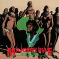 Pikkukuva 1 / 2: Riley Jimmy - Majority Rule (LP)