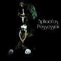 Miniatyrbillede 1 af 2: Sphaèros - Possession (LP)