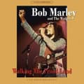 Pikkukuva 2 / 2: Bob Marley - Walking The Proud Land (LP)