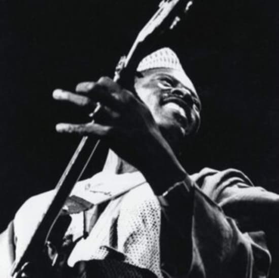 Ali Farka Touré - The Source (LP)