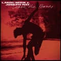 Miniatyrbillede 2 af 2: Mizik Lakou & Ray Joseph - Leave The Bones (LP)