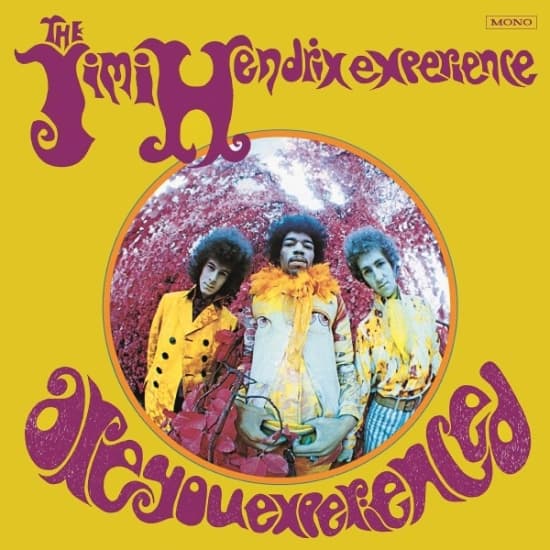 Hendrix Jimi The Experience - Are You Experienced (180 gr/US Sleeve) (LP)