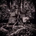 Miniatyrbild 2 av 2: Kamasi Washington - Harmony Of Difference (Ep) (Maxisingle)