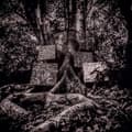 Miniatyrbild 1 av 2: Kamasi Washington - Harmony Of Difference (Ep) (Maxisingle)