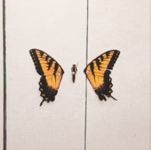 Paramore - Brand New Eyes (LP)