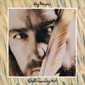 Pikkukuva 1 / 2: Harper Roy - Bullinamingvase (LP)
