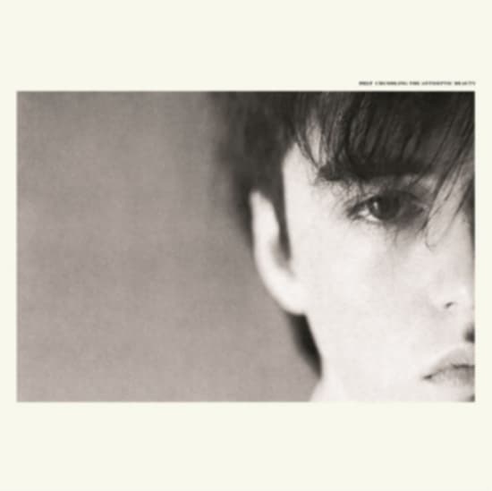 Felt - Crumbling Antiseptic Beauty (LP)
