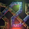 Miniatyrbillede 1 af 2: Mouse On Mars - Radical Connector (LP)