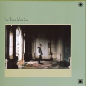 Twins - That Which Is Not Said (LP)