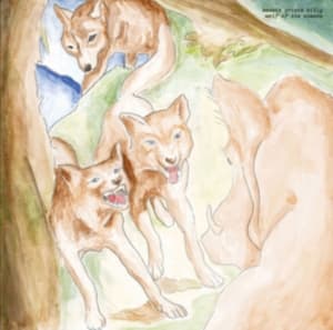 Bonnie 'prince' Billy - Wolf Of The Cosmos (LP)