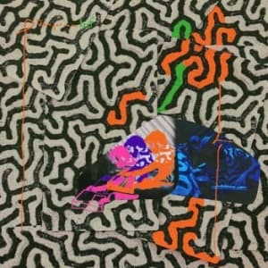 Animal Collective - Tangerine Reef (LP)