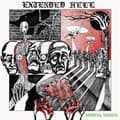 Miniatyrbilde 1 av 2: Extended Hell - Mortal Wound (LP)
