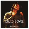 Miniatyrbillede 1 af 2: DAVID BOWIE - VH1 STORYTELLERS (VINYL LTD.) (LP)