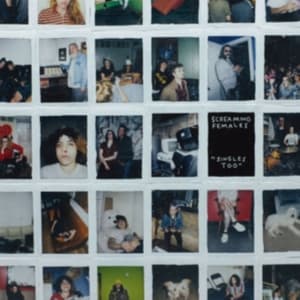 Screaming Females - Singles Too (LP)