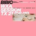 Pikkukuva 1 / 2: Bibio - Wxaxrxp Session (LP)