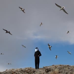 Hamerkop - Remote (LP)