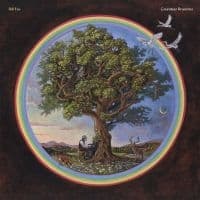Bill Fay - Countless Branches (Deluxe Version) (LP)