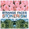 Miniatyrbilde 2 av 2: Strange Faces - Stonerism (LP)