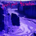 Miniatyrbilde 2 av 2: Giant Peach - Tarantula (LP)