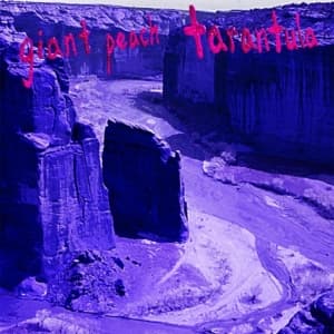 Giant Peach - Tarantula (LP)