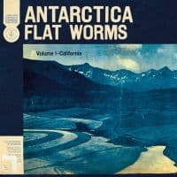 Flat Worms - Antarctica (LP)