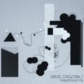 Miniatyrbillede 2 af 2: Cruel Diagonals - Disambiguation (LP)