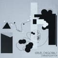 Miniatyrbillede 1 af 2: Cruel Diagonals - Disambiguation (LP)