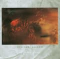 Miniatyrbillede 1 af 2: Cocteau Twins - Victorialand (Reissue) (LP)