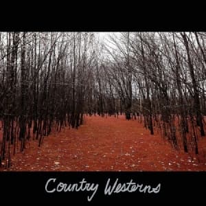 Country Westerns - Country Westerns (LP)