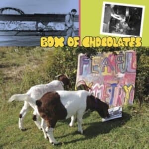 Box Of Chocolates - Fearful Symmetry (LP)
