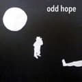Miniatyrbilde 2 av 2: Odd Hope - All The Things (Vinylsingle)