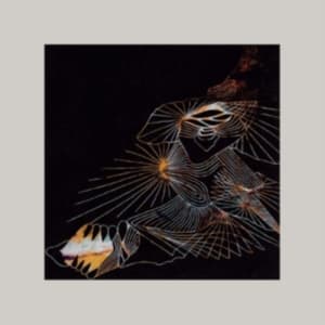 Grid - Decomposing Force (LP)