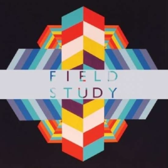 Field Study - Feverland (LP)
