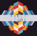 Miniatyrbillede 2 af 2: Field Study - Feverland (LP)