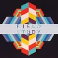 Miniatyrbillede 1 af 2: Field Study - Feverland (LP)