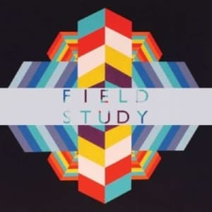 Field Study - Feverland (LP)