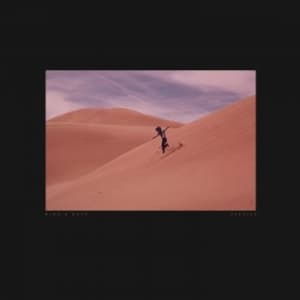 Bing & Ruth - Species (LP)