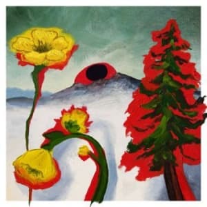 Woods - Strange To Explain - Ltd (LP)