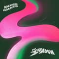 Miniatyrbillede 2 af 2: Naked Giants - Shadow (LP)