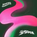 Miniatyrbillede 1 af 2: Naked Giants - Shadow (LP)