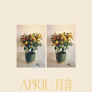 Emmy The Great - April (LP)