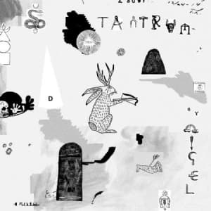 Nigel - Tantrum (LP)