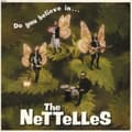 Pikkukuva 1 / 2: Nettelles - Do You Believe Inà (LP)
