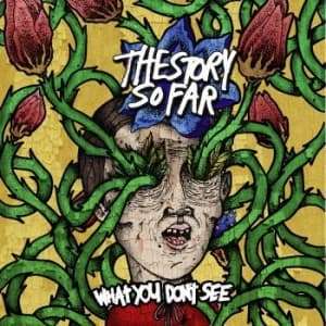 Story So Far - What You Don't See (LP)