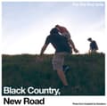 Pikkukuva 2 / 2: Black Country New Road - For The First Time (LP)