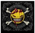 Miniatyrbild 1 av 2: Wildhearts - Thirty Year Itch (LP)