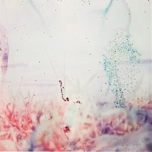 Pluralone - To Be One With You (LP)