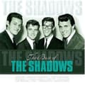 Miniatyrbild 1 av 2: The Shadows - Best Of (LP)