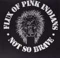 Miniatyrbilde 1 av 2: Flux Of Pink Indians - Not So Brave (Vinyl) (LP)