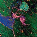 Miniatyrbilde 1 av 2: Grave Flowers Bongo Band - Strength Of Spring (LP)